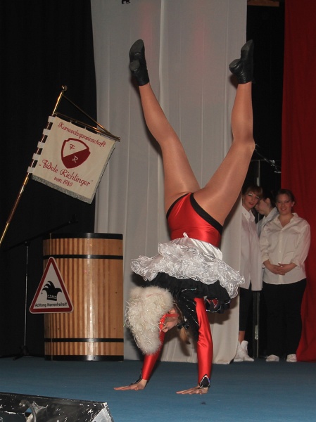 Ricklinger_2011   080.jpg
